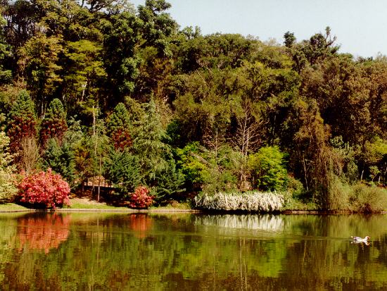 LagoNegro_Gramado