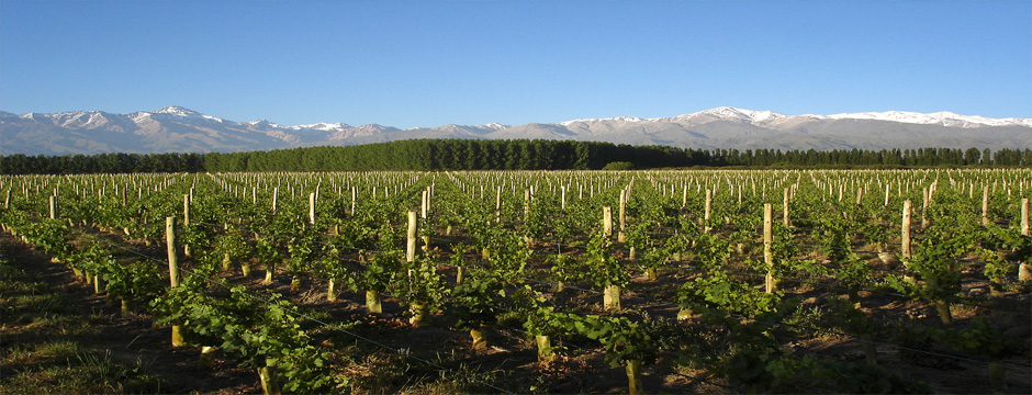 Vinhos e Aventura - pousadas em Mendoza Vinhos e Aventura