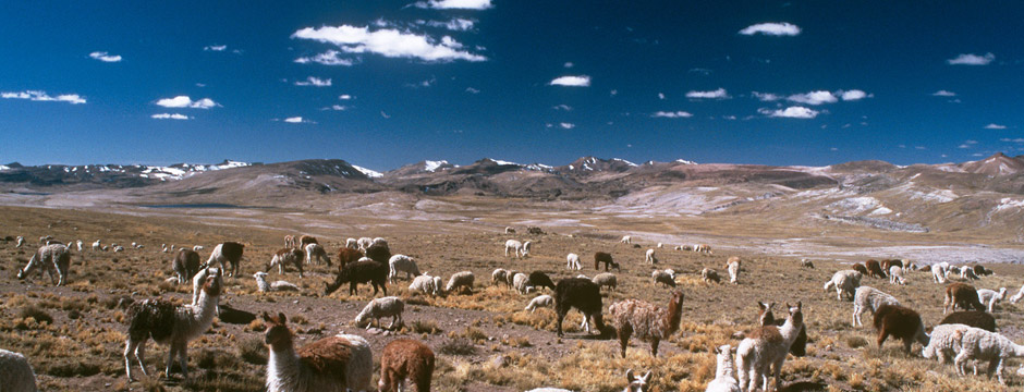 Grande Panorama Andino - sem aéreo