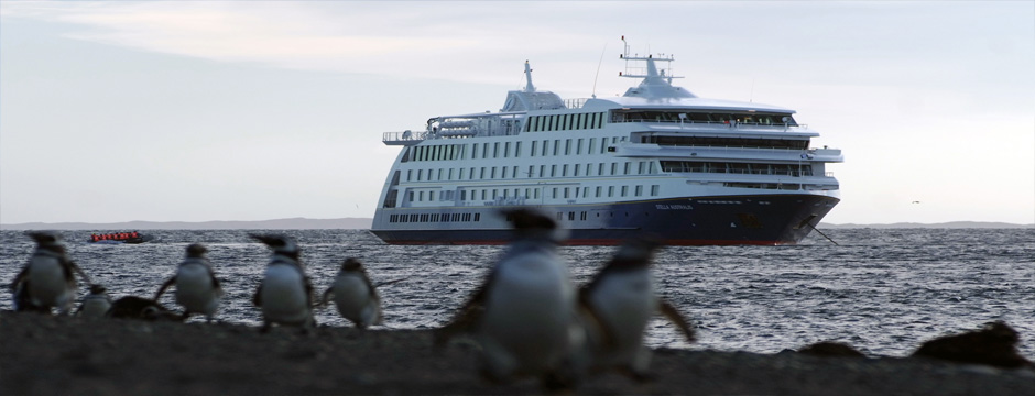 Descubra a Patagônia - Stella Australis ( parte marítima ) Cruzeiro Stella Australis ( Rota de Ushuaia a Punta Arenas 4dias/3noites)