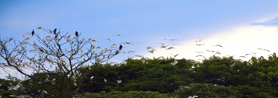 Termas de Jurema Resort Trek_Package 3096 -