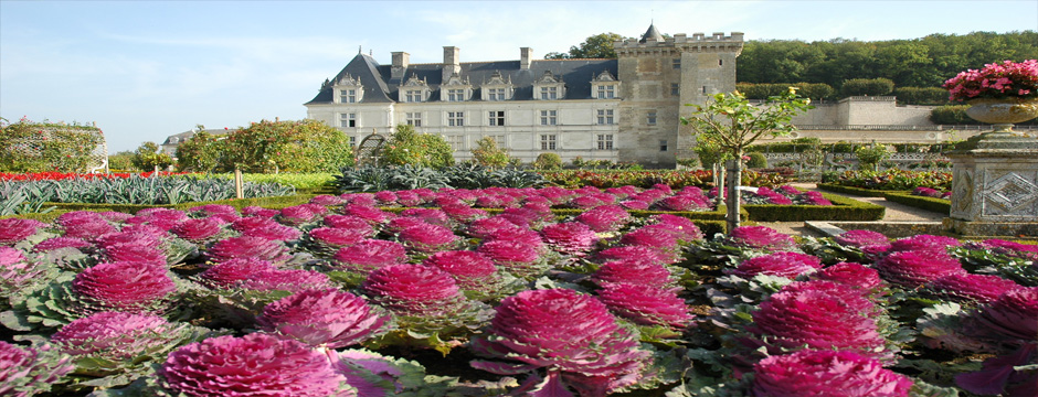 Vale do Loire e Borgonha - Beaune - 6 noites
