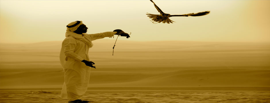 Doha Express - com visto gratuito Doha Express