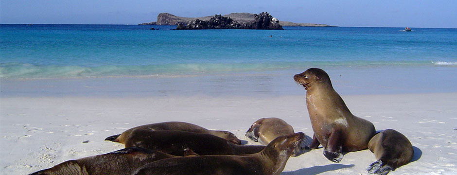 Galápagos Ilhas do Leste com Iate La Pinta Galápagos Ilhas do Leste com Iate La Pinta