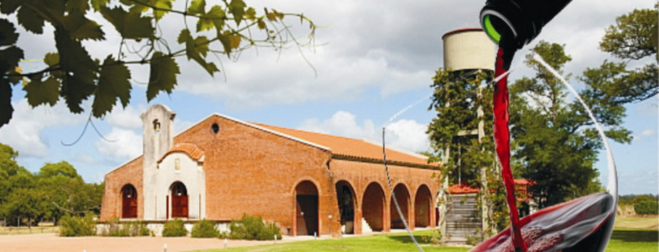 Montevideo & Vinhos Trek_Package 1733 -