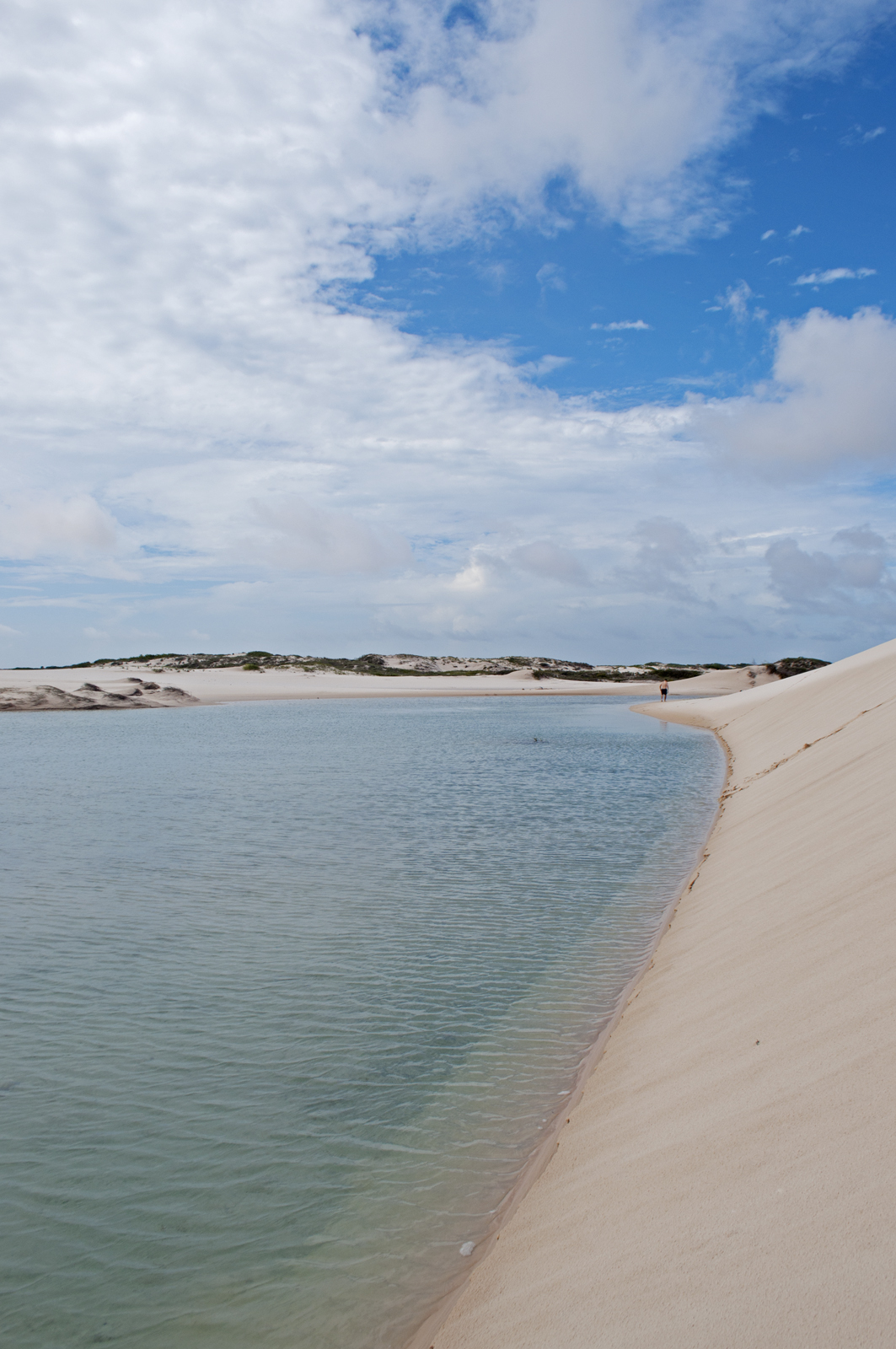 São Luis e Santo Amaro Lençóis_Gekos_MA