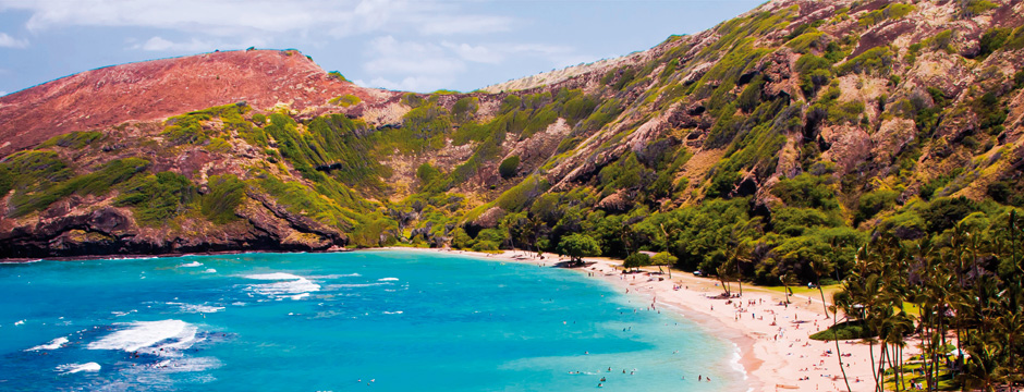 Aloha Hawaii