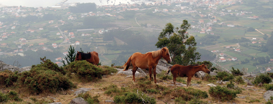 Santiago de Compostela À Sua Maneira