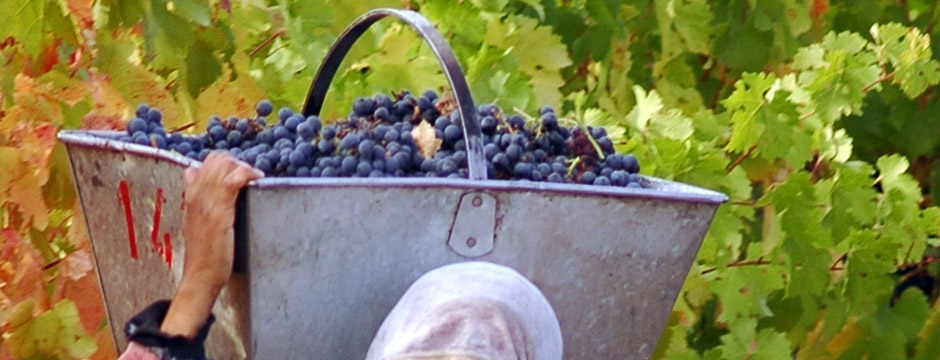 Mendoza À Sua Maneira Mendoza Malbec - sem aéreo