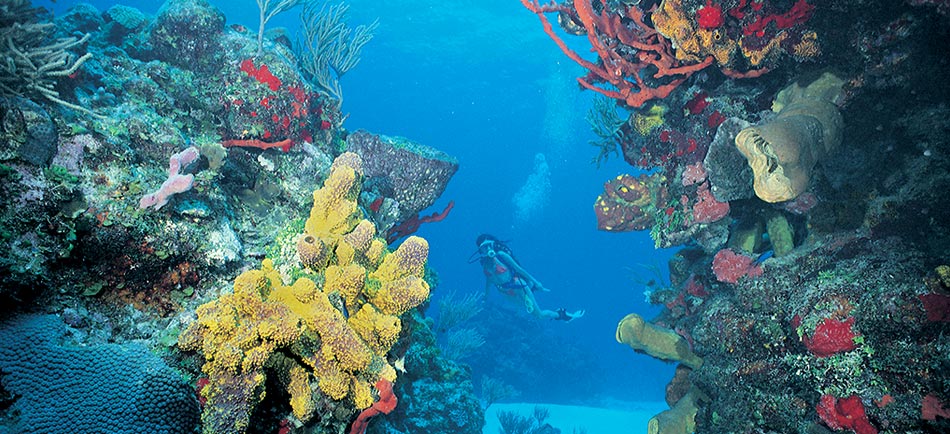 Trek_Package 1036 - cancun3