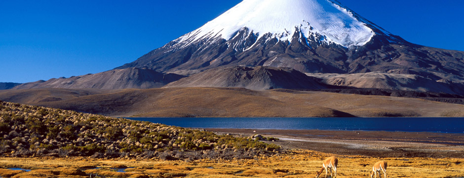 Descubra Pucón Descubra Pucón - Villarrica - sem aéreo