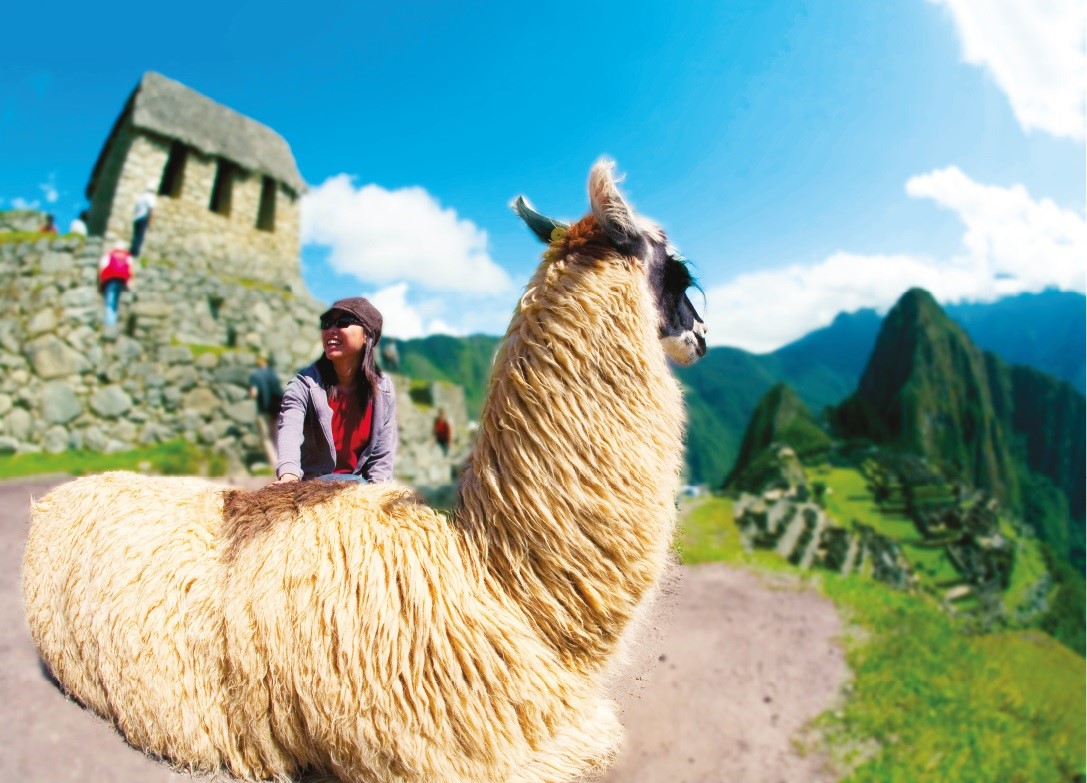 Experiência Andina - Linhas de Nazca, Vinhos e Pisco Trek_Package 2878 -