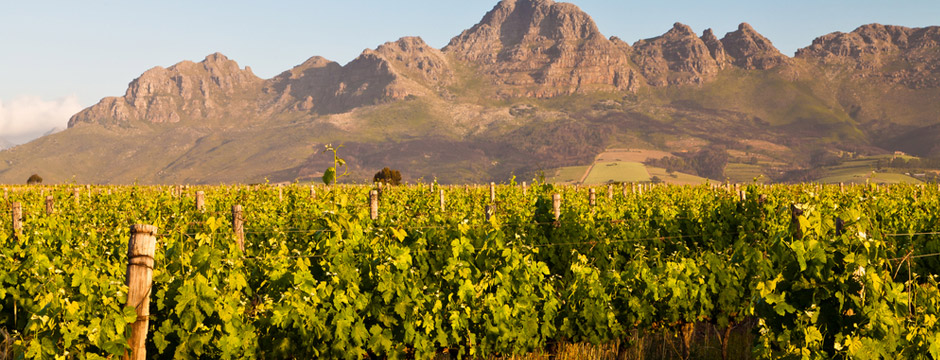 África do Sul - Rota dos Vinhos - sem aéreo