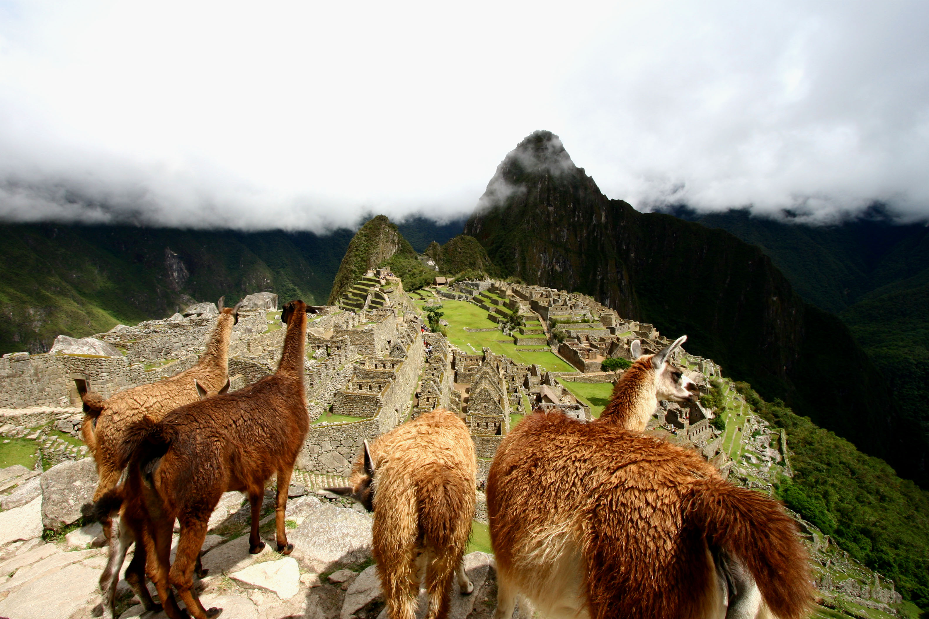 Inca Sabores 3