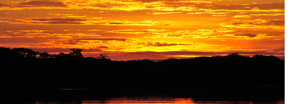 Juma Amazon Lodge - Experiência Mutum 4 dias Trek_Package 3513 - JUMA por do sol
