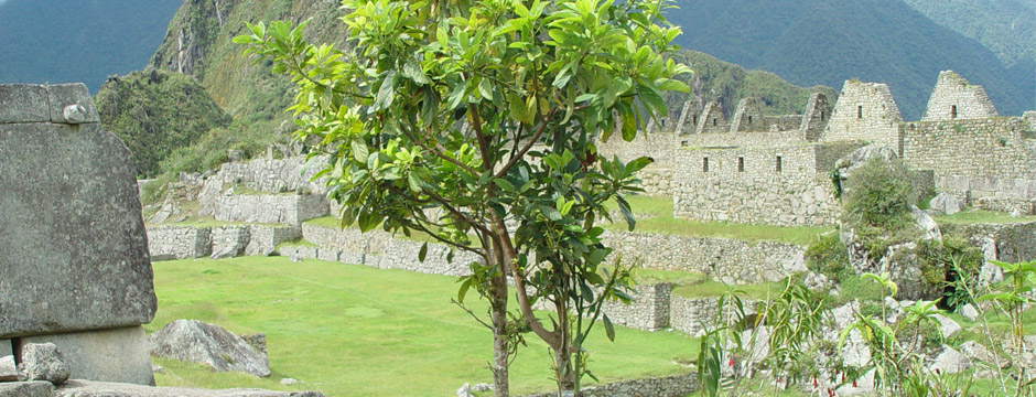 Machu Picchu Mágico