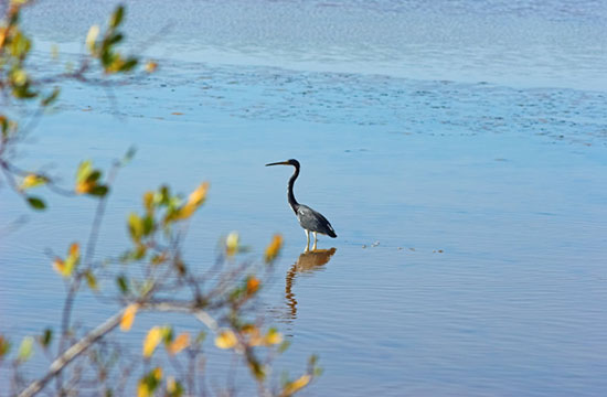 Cayo Santa Maria
