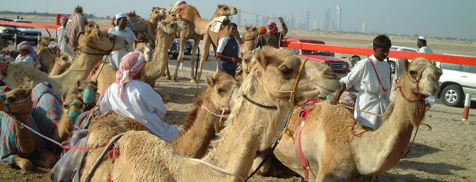Descubra Dubai - sem aéreo