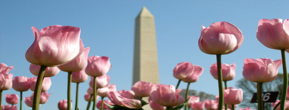 Washington Express