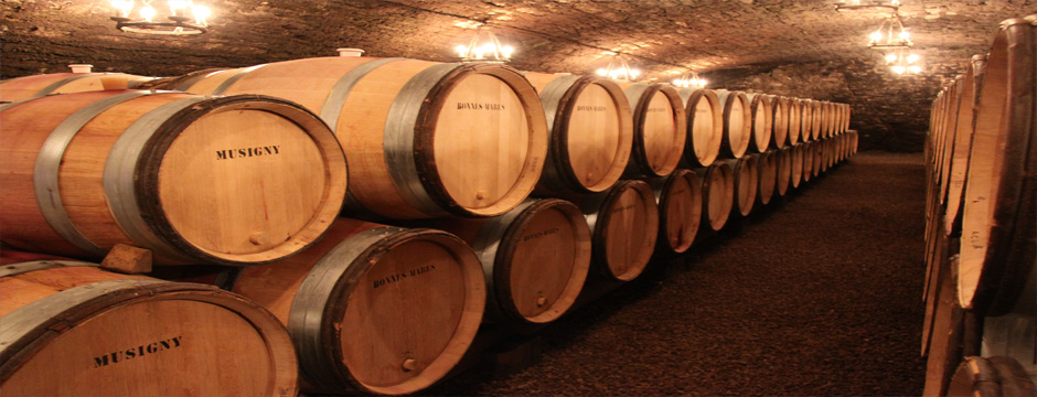Borgonha - Beaune