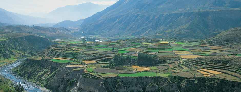 Grande Panorama Andino - sem aéreo