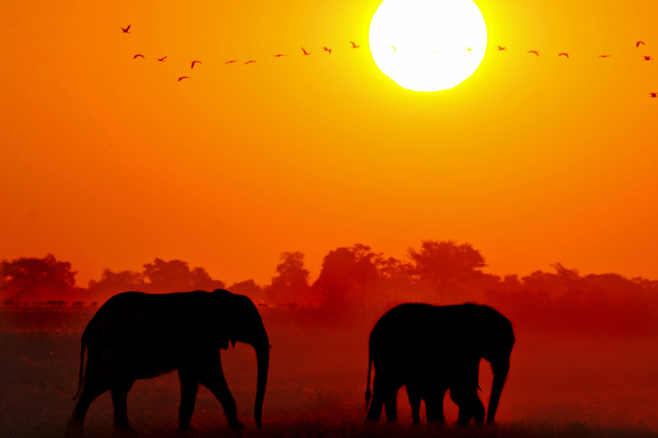 africa_6