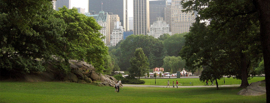 New York a sua Maneira