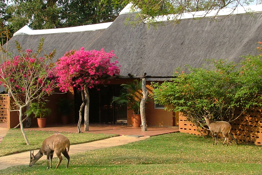 Sable Camp Mala Mala