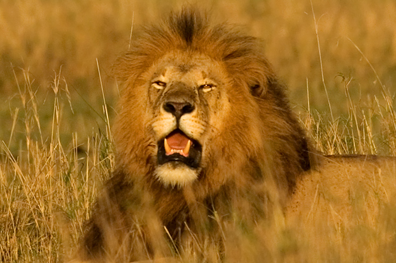 africa_7