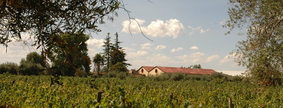 Mendoza Malbec - sem aéreo