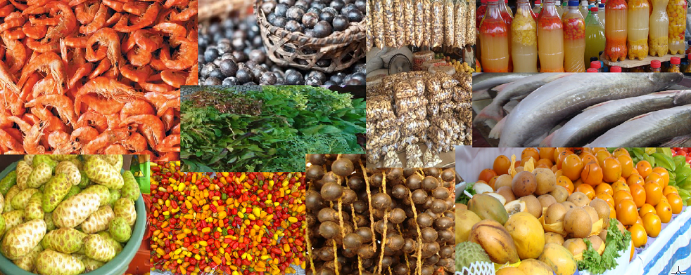 Belém Gastronômico Mosaico_Mercado ver-o-peso