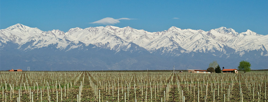 Norte Argentino e a Rota do Vinho Salta, Cafayate & Mendoza - sem aéreo