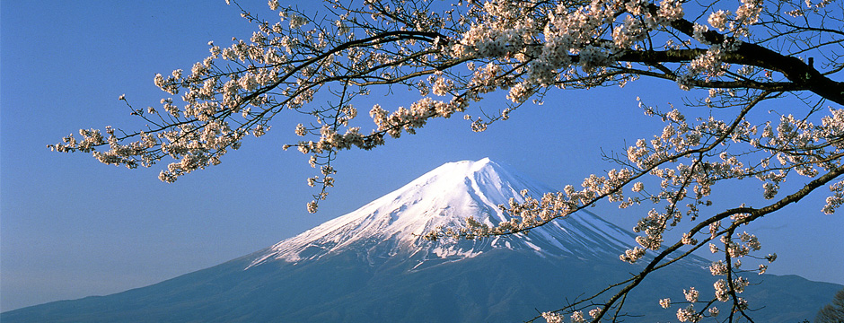 Japão Essencial - Promoção do mês