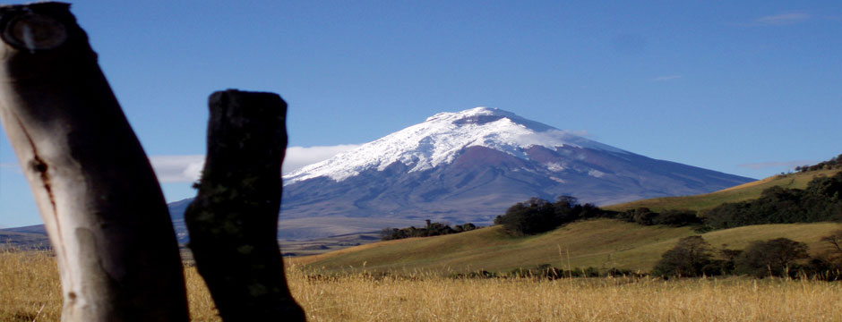 Quito Panorâmico