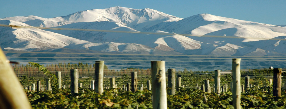 Vinhos e Aventura