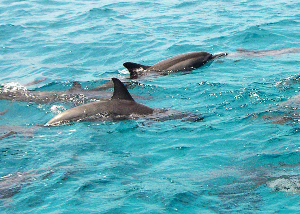 Fernando Noronha_foto