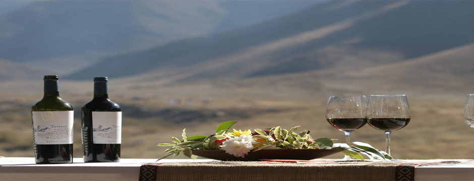 Vinhos e Aventura
