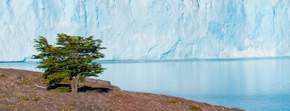 El Calafate