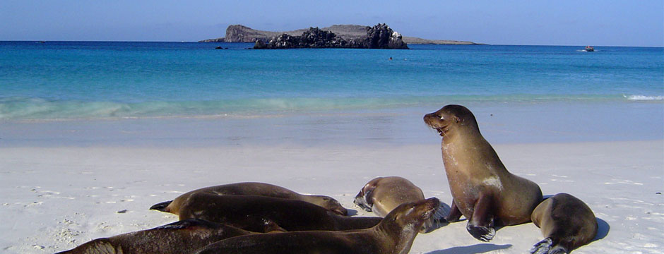Galápagos Ilhas do Oeste com Iate La Pinta