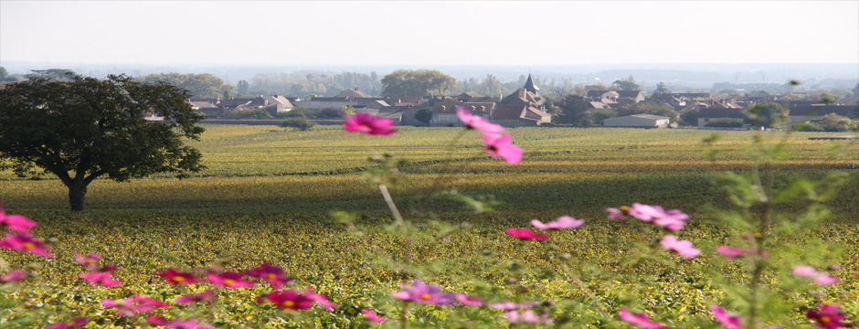 Champagne e Borgonha - Beaune - 5 noites