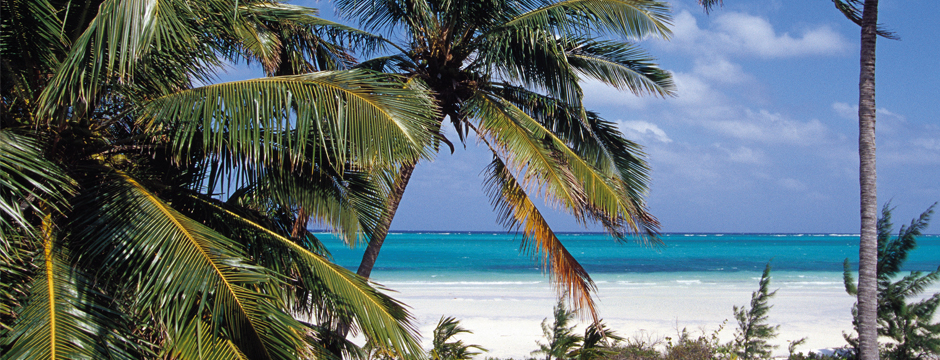Bahamas À Sua Maneira - Nassau & Paradise Island