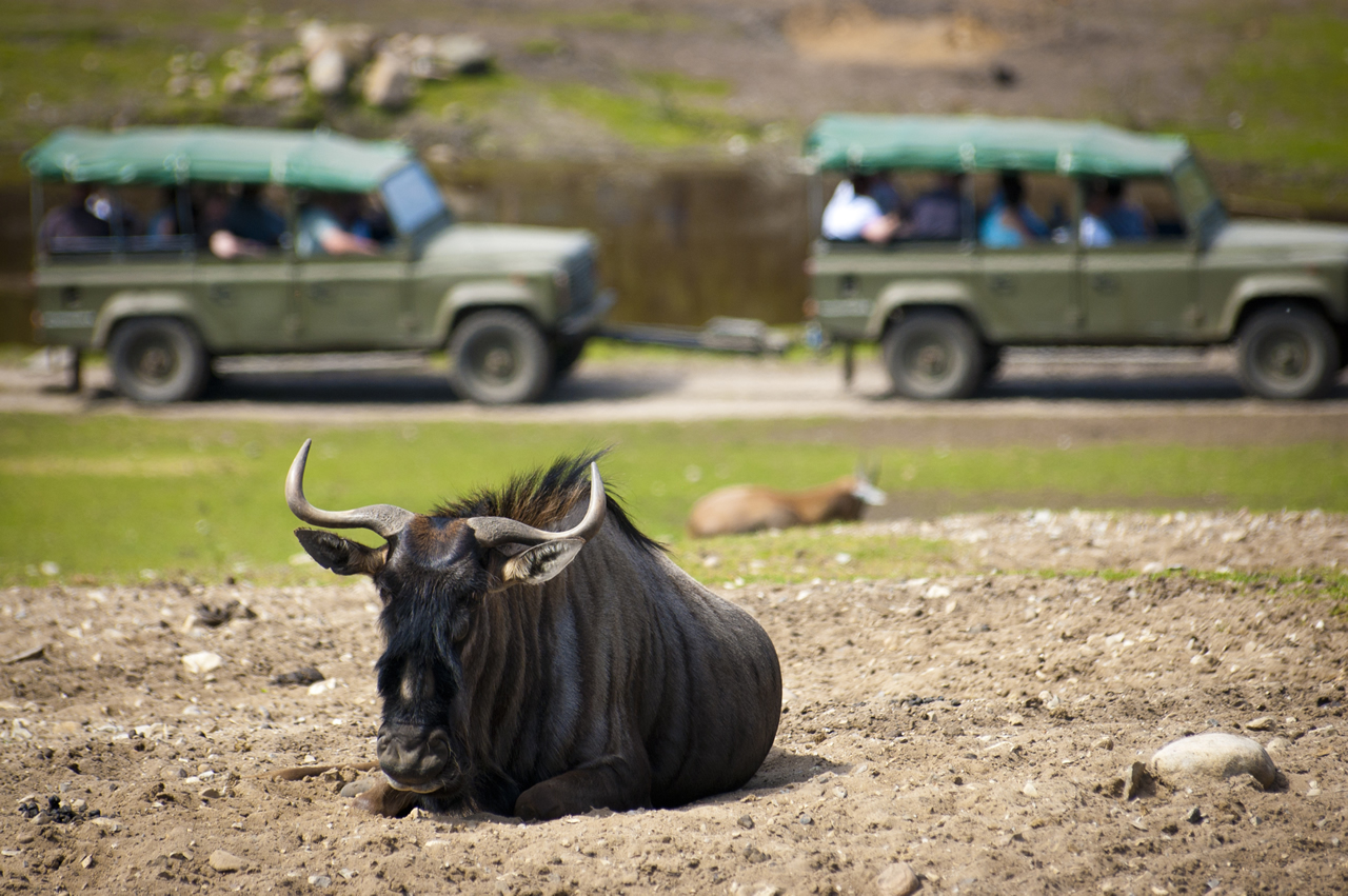 africa_12