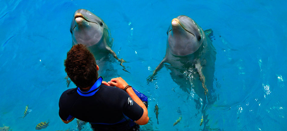 Trek_Package 1036 - cancun4