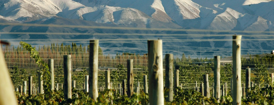 Experiência Malbec - hotéis em Mendoza Mendoza Merlot - sem aéreo