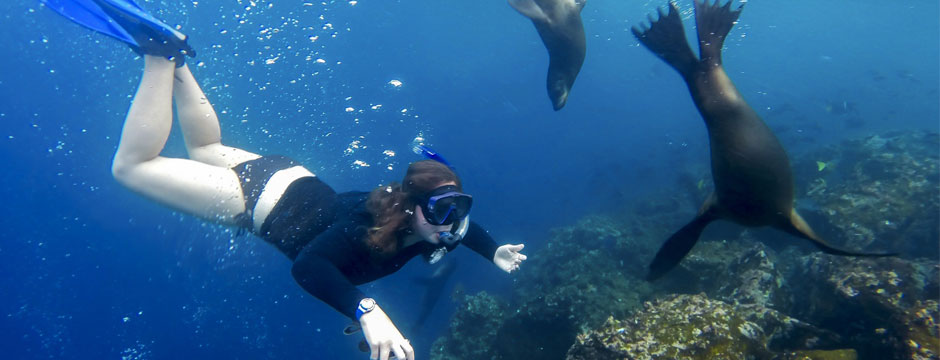 Galápagos Ilhas do Norte - Navio Santa Cruz II