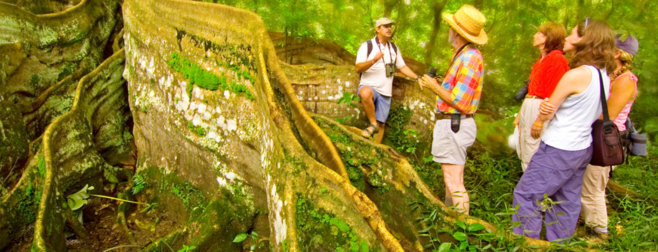 Costa Rica Natural - sem aéreo
